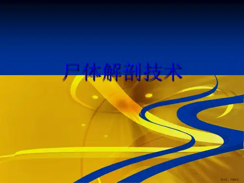 尸体解剖技术