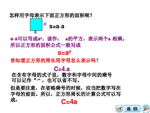 用字母表示数第二课时