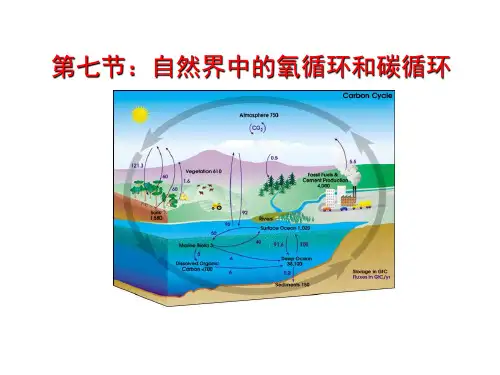 自然界中的氧循环和碳循环PPT课件(初中科学)