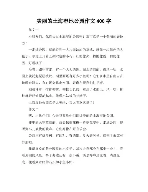 美丽的土海湿地公园作文400字