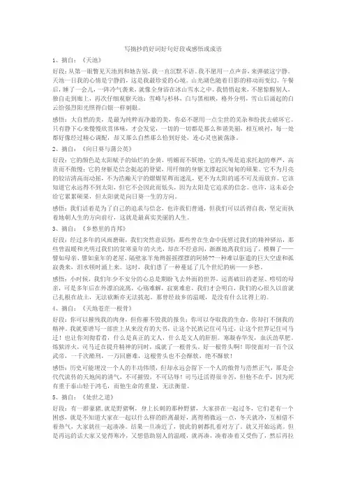 写摘抄的好词好句好段戓感悟或成语