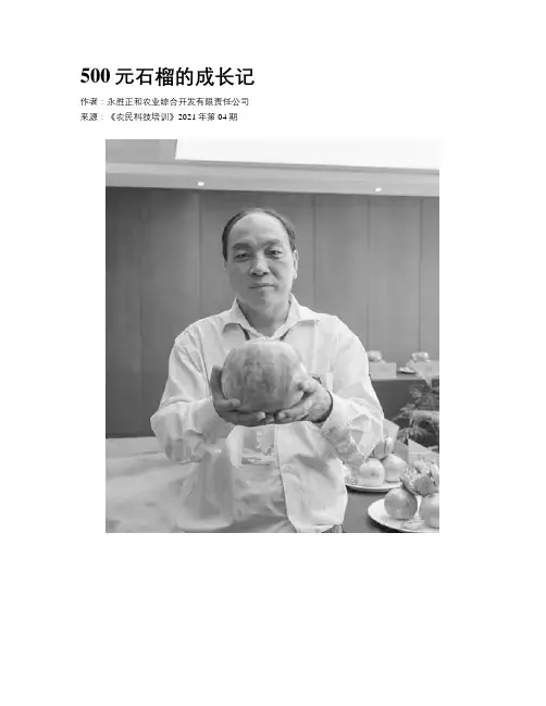 500元石榴的成长记