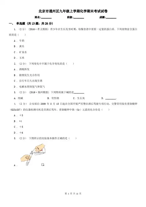 北京市通州区九年级上学期化学期末考试试卷