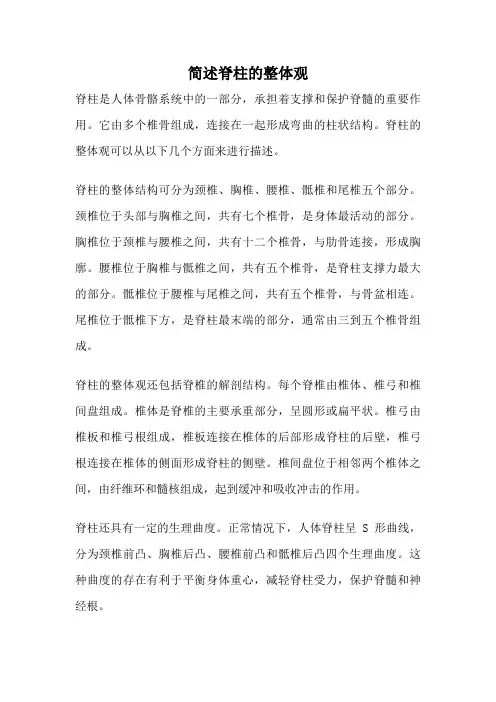 简述脊柱的整体观