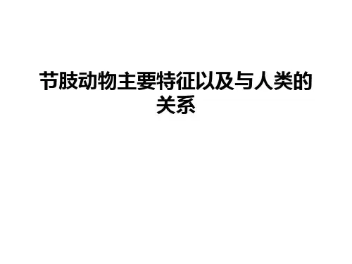 最新节肢动物主要特征以及与人类的关系