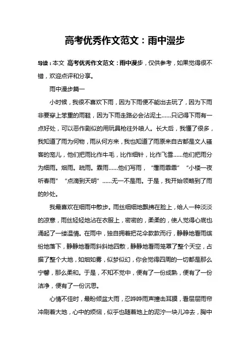 高考优秀作文范文：雨中漫步