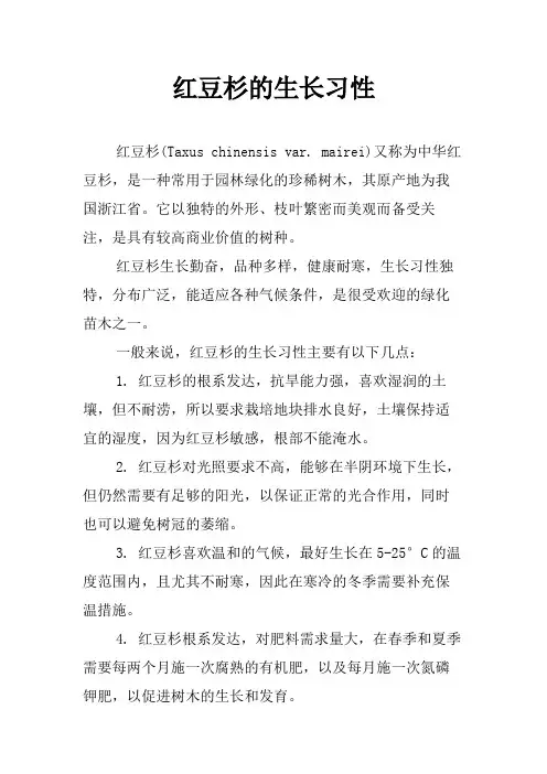 红豆杉的生长习性