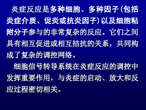 11炎症反应与SIRS-PPT课件