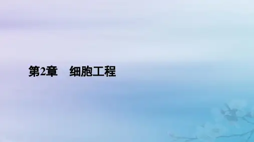 高中生物第2章细胞工程第2节动物细胞工程第2课时动物细胞融合技术与单克鹿体课件新人教版选择性必修3