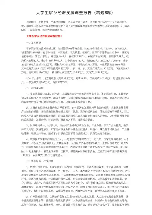 大学生家乡经济发展调查报告（精选5篇）