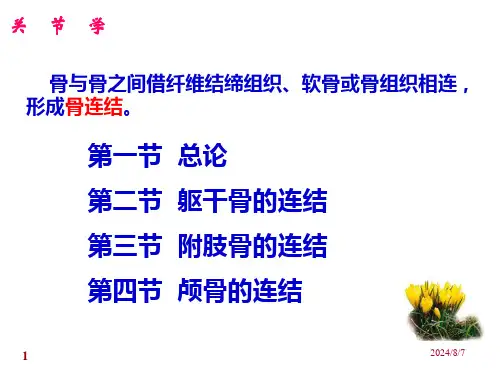 关节学PPT课件