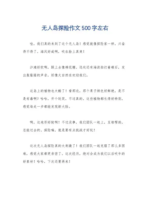 无人岛探险作文500字左右