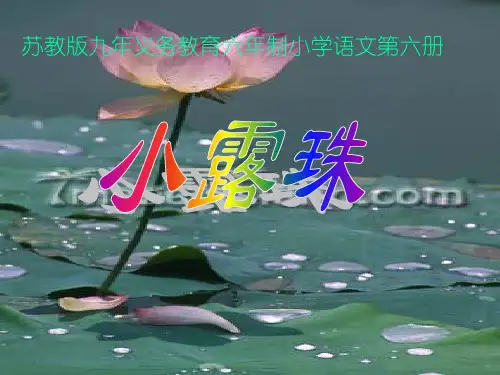 人教版小学三年级语文小露珠