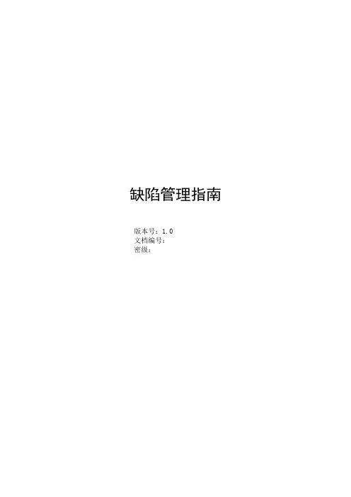 缺陷管理指南