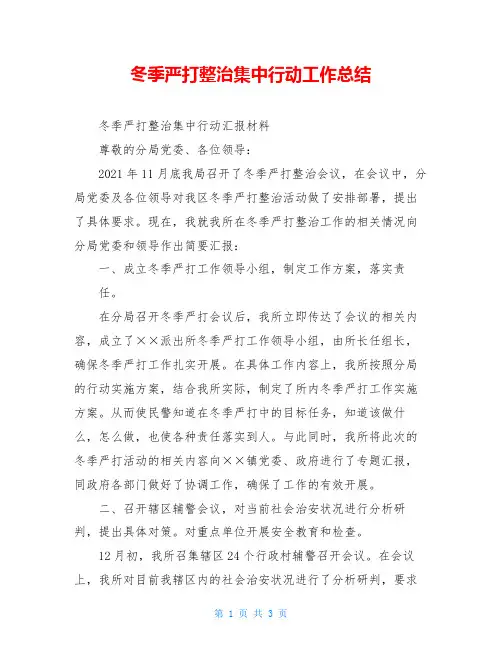 冬季严打整治集中行动工作总结