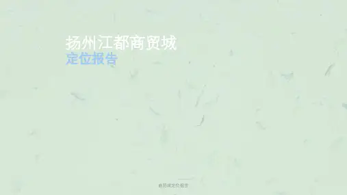 商贸城定位报告课件