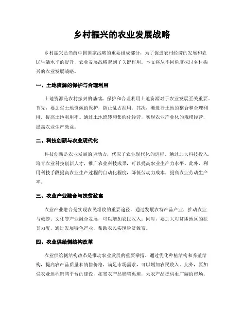 乡村振兴的农业发展战略