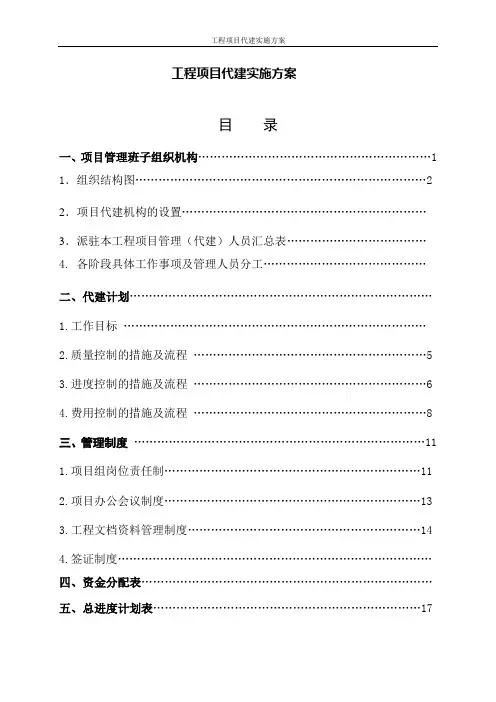工程项目代建实施方案