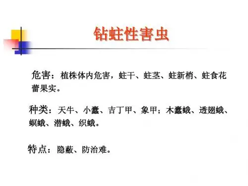 园艺昆虫学-蛀杆类害虫