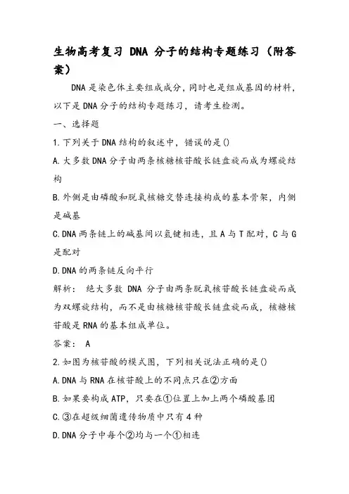 生物高考复习DNA分子的结构专题练习(附答案)