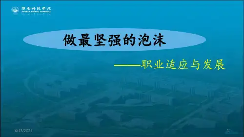 职业适应与发展 ppt课件