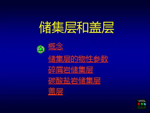 储集层和盖层