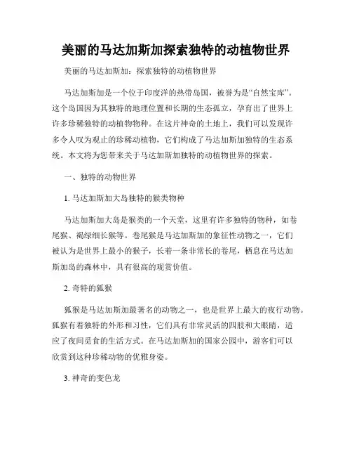 美丽的马达加斯加探索独特的动植物世界