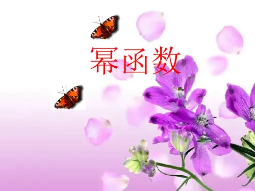 高中数学人教A版必修1第二章 基本初等函数——幂函数(共14张PPT)
