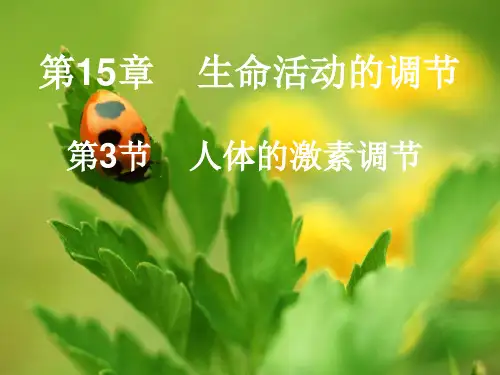 苏科版八年级上册生物：第3节 人体的激素调节
