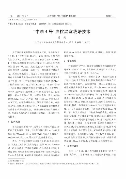 ‘中油4号’油桃温室栽培技术