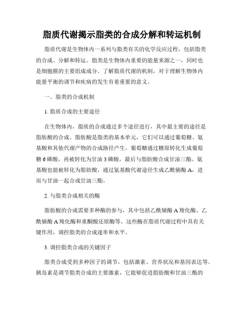 脂质代谢揭示脂类的合成分解和转运机制