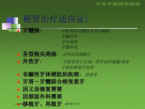 RCT根管治疗