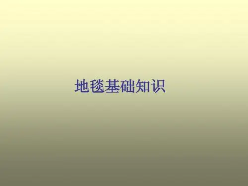 地毯分类和选择培训材料