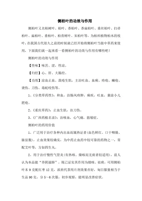 侧柏叶的功效与作用