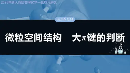 2025年新人教版高考化学一轮复习讲义 第八章 热点强化14 微粒空间结构 大π键的判断