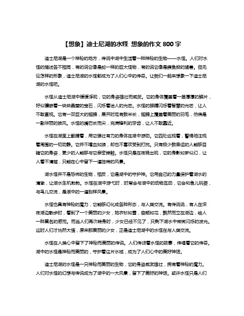 【想象】迪士尼湖的水怪 想象的作文800字