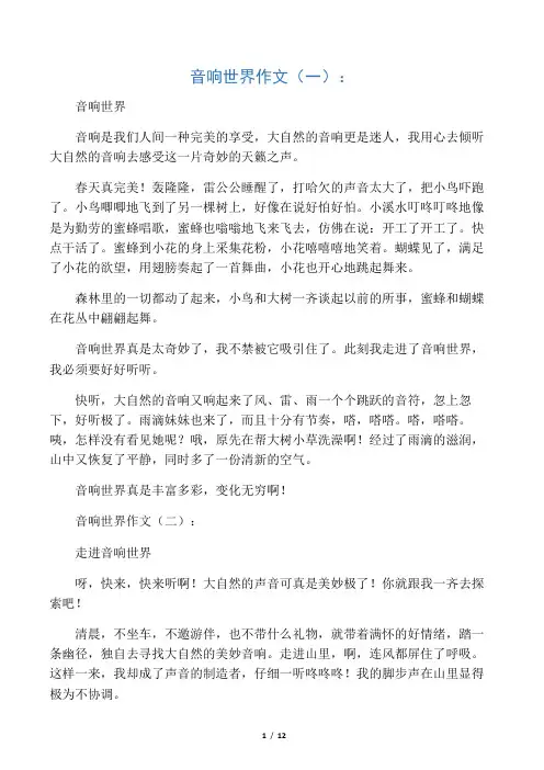 音响世界作文16篇