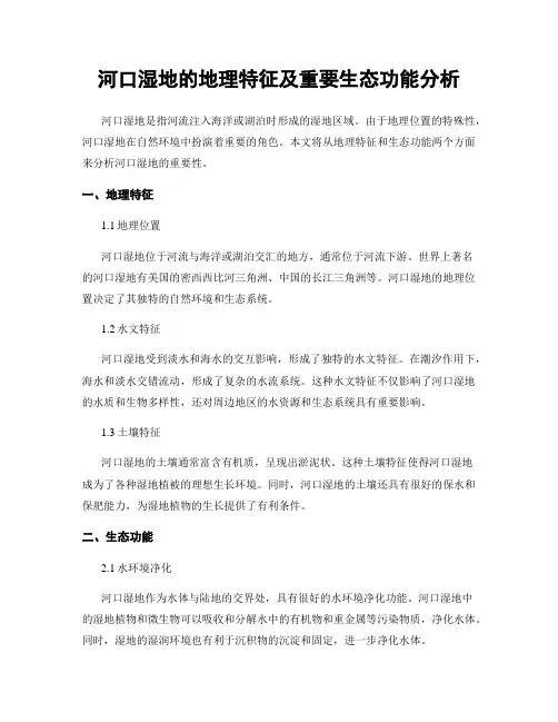 河口湿地的地理特征及重要生态功能分析
