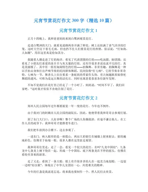 元宵节赏花灯作文300字(精选10篇)