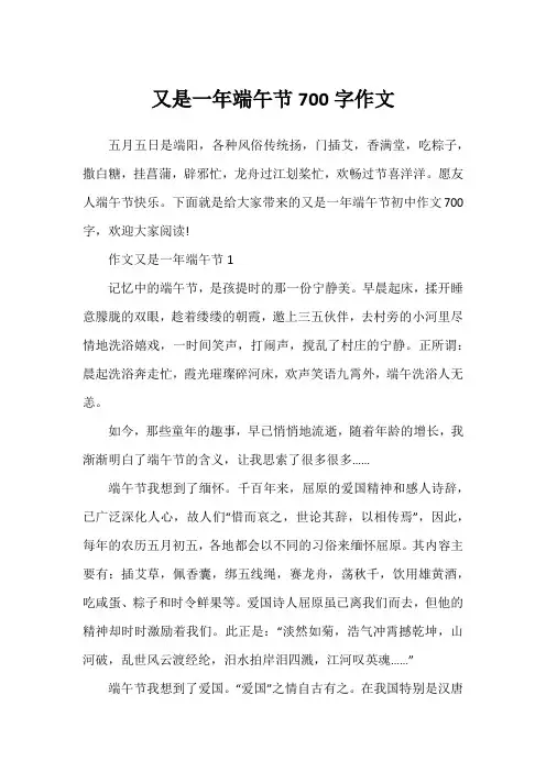 又是一年端午节700字作文