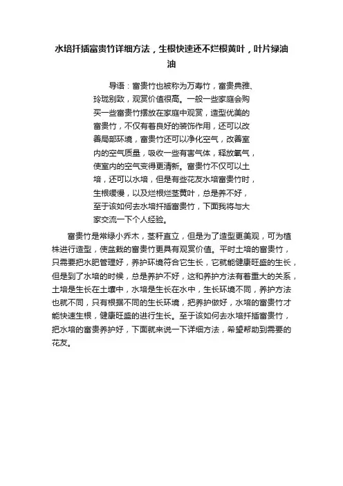 水培扦插富贵竹详细方法，生根快速还不烂根黄叶，叶片绿油油