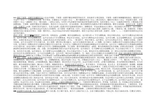 口腔解剖学大题