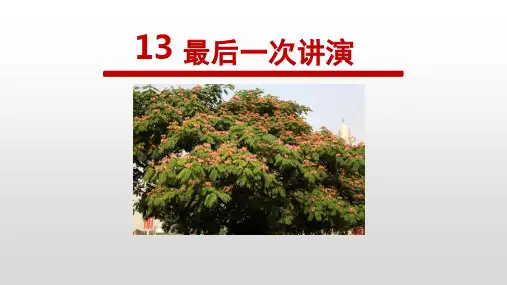 第13课《最后一次讲演》课件(共22张PPT)2022—2023学年部编版语文八年级下册