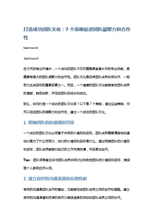 打造成功团队文化：7个策略促进团队凝聚力和合作性