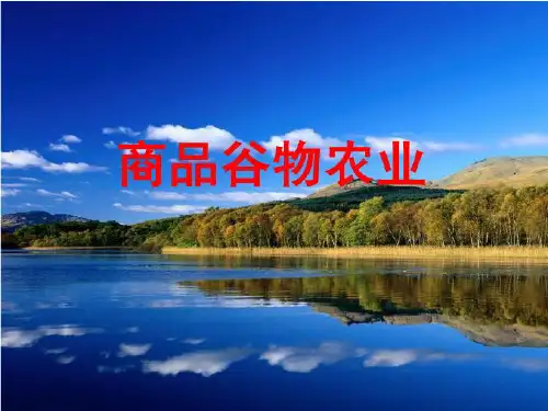 商品谷物农业