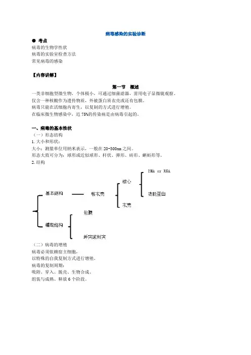 病毒感染的实验诊断