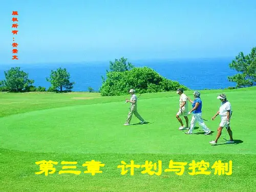 管理学计划与控制