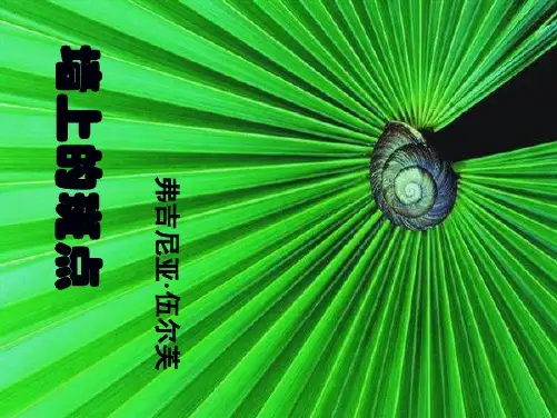 墙上的斑点优秀课件(共24张PPT)