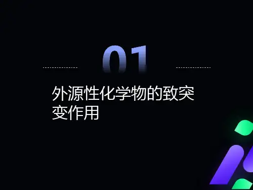 外源性化学物的致突变作用