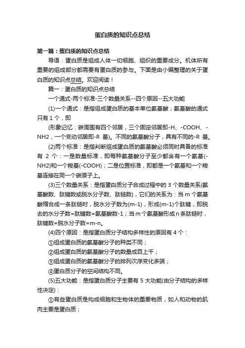 蛋白质的知识点总结